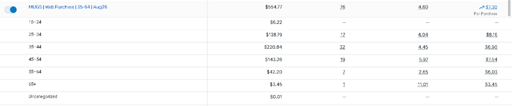 Meta Ads Manager age breakdown report for Jenny's Peems
